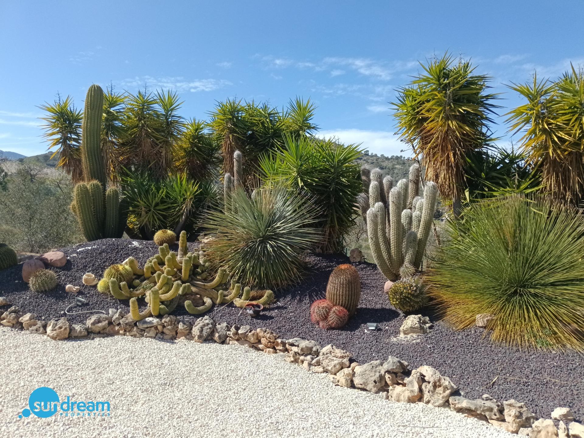 Pool area in villa for sale in Abanilla