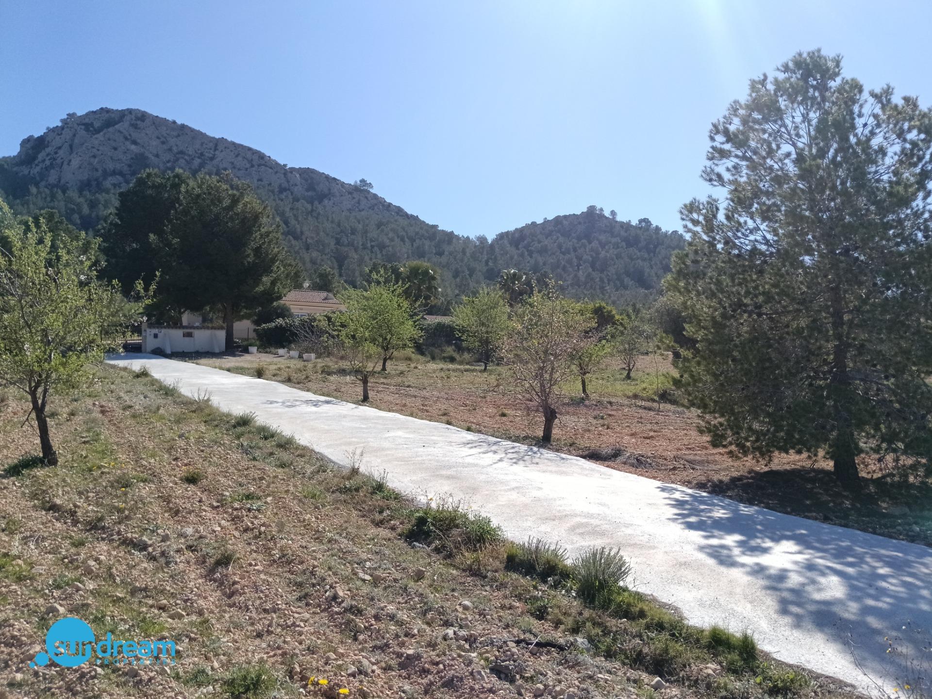 Kitchen in villa for sale in Abanilla