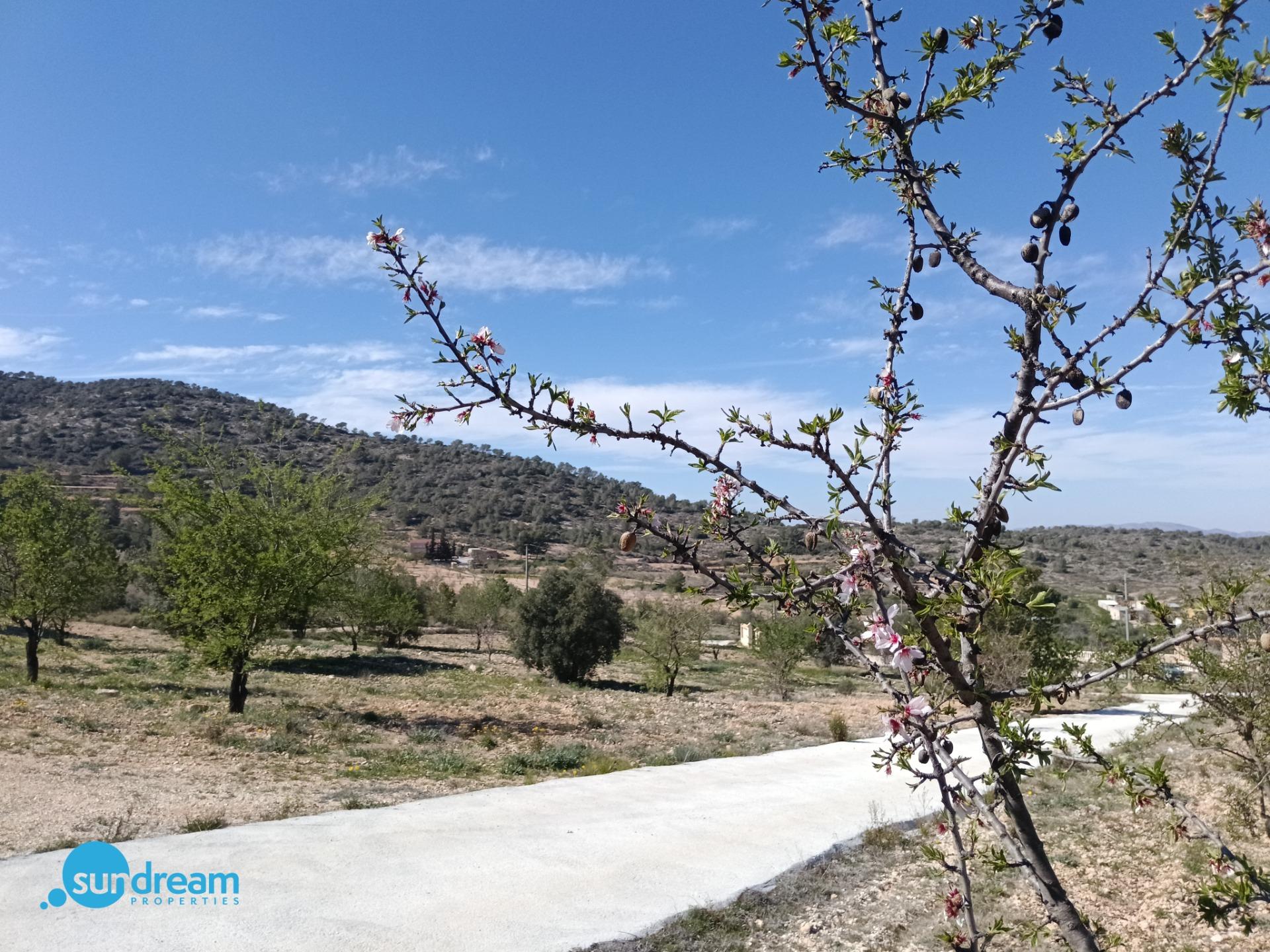 Bathroom in villa for sale in Abanilla