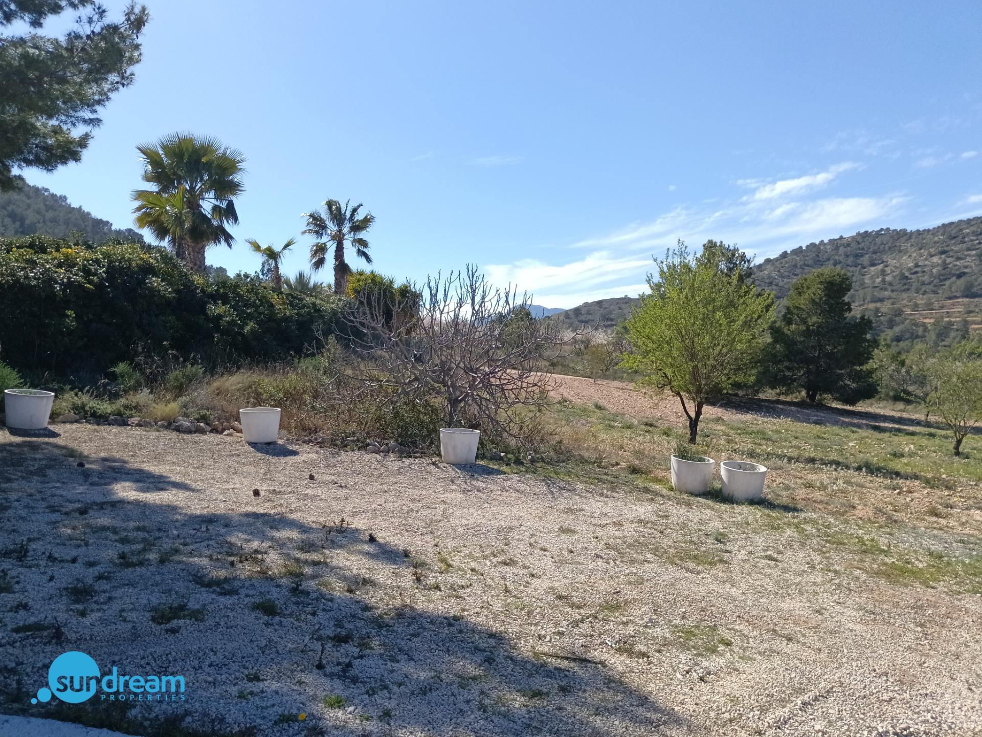 Pool area in villa for sale in Abanilla