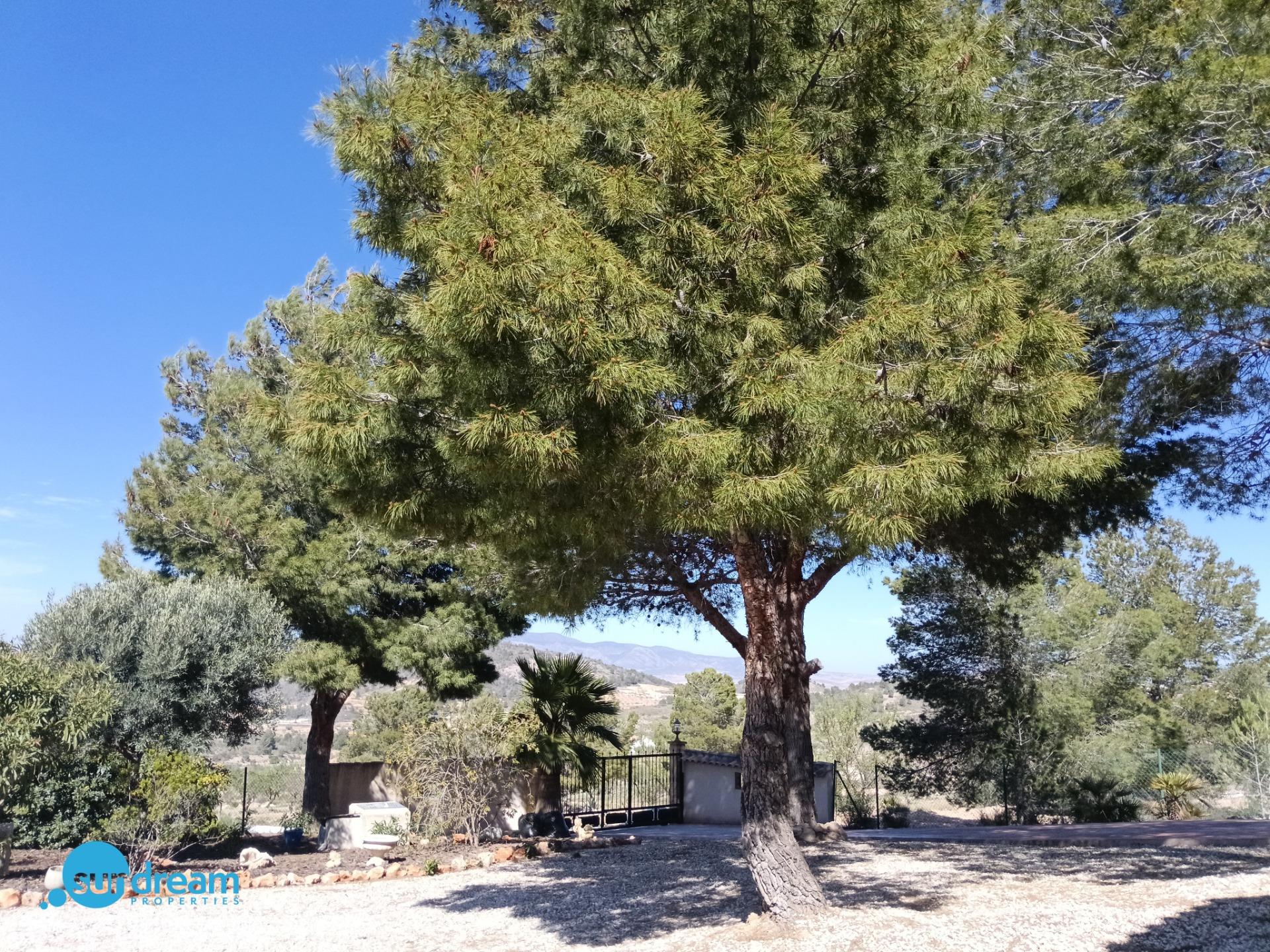 Master bedroom in villa for sale in Abanilla