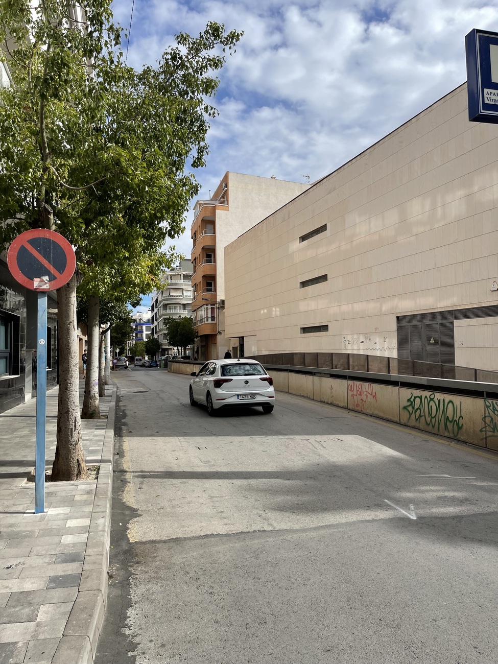 Garden in penthouse for sale in Torrevieja