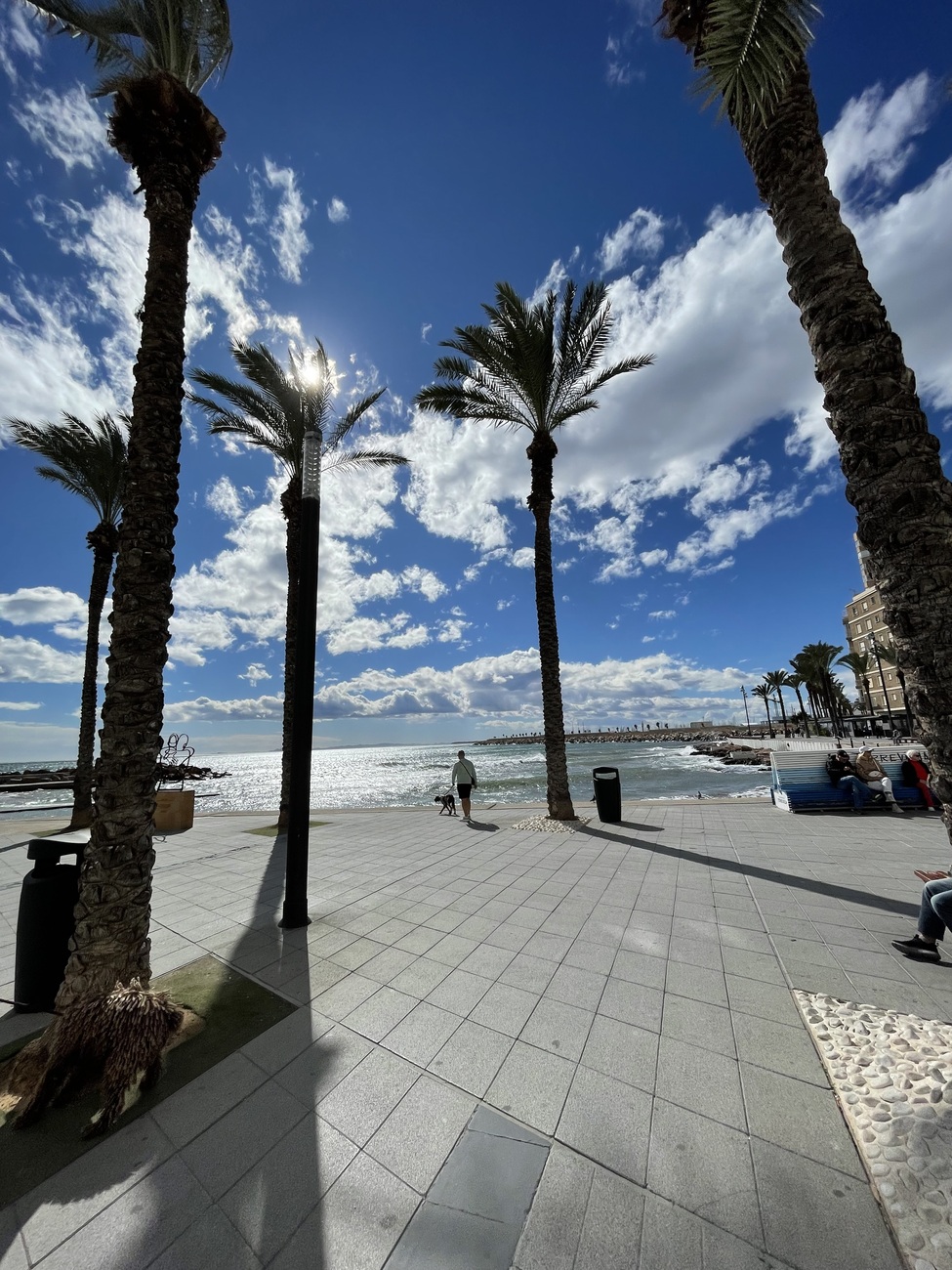 DESCRIPTIONSouth‑Facing Penthouse with Terrace, Garage & Storage in the Heart of TorreviejaA fantast