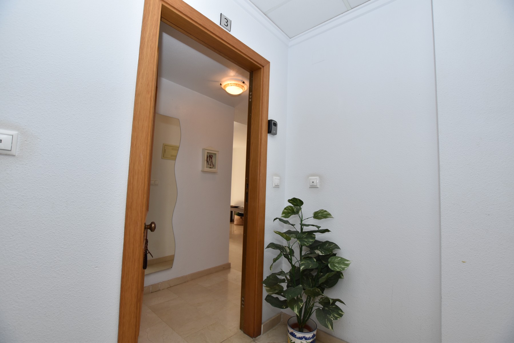 Terrace in apartment for sale in Algorfa