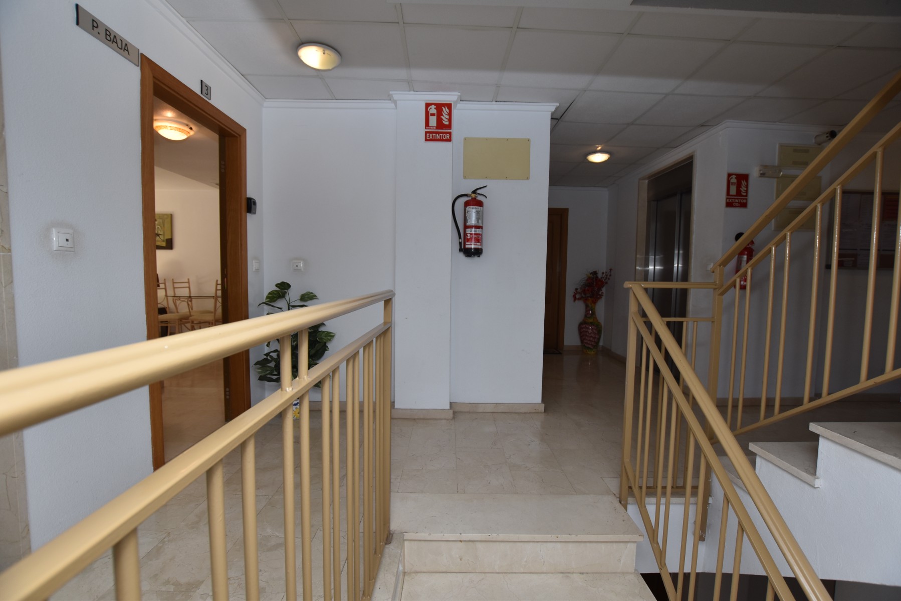 Garden in apartment for sale in Algorfa