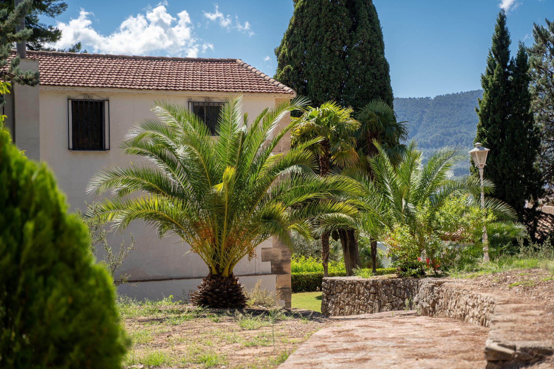 Exterior view in villa for sale in Alcoy