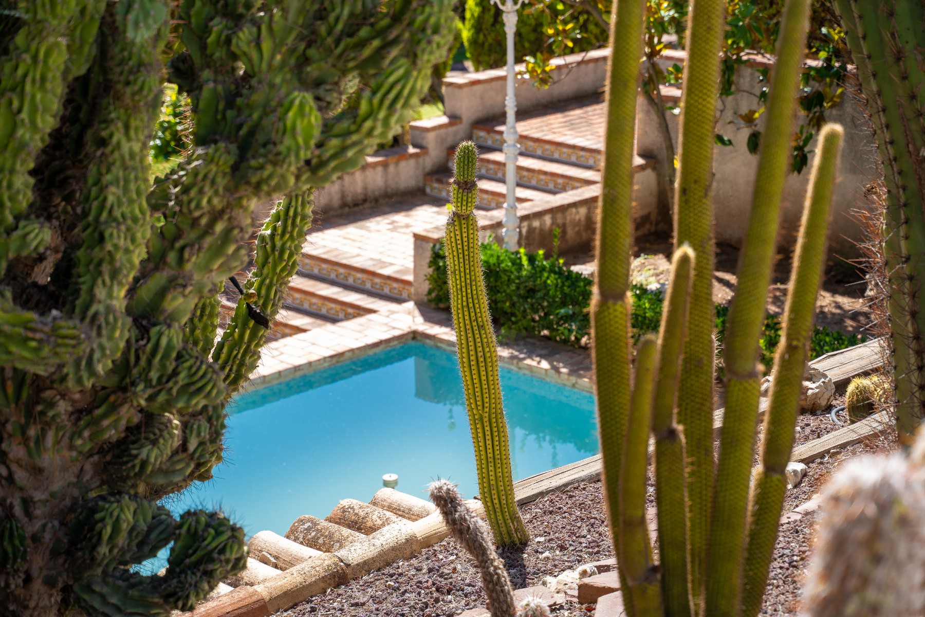 Garden in villa for sale in Alcoy