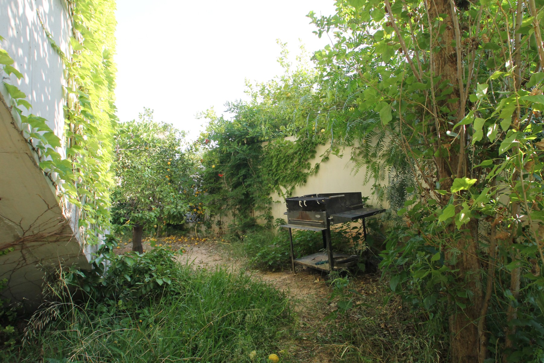 Pool area in villa for sale in San Vicente del Raspeig