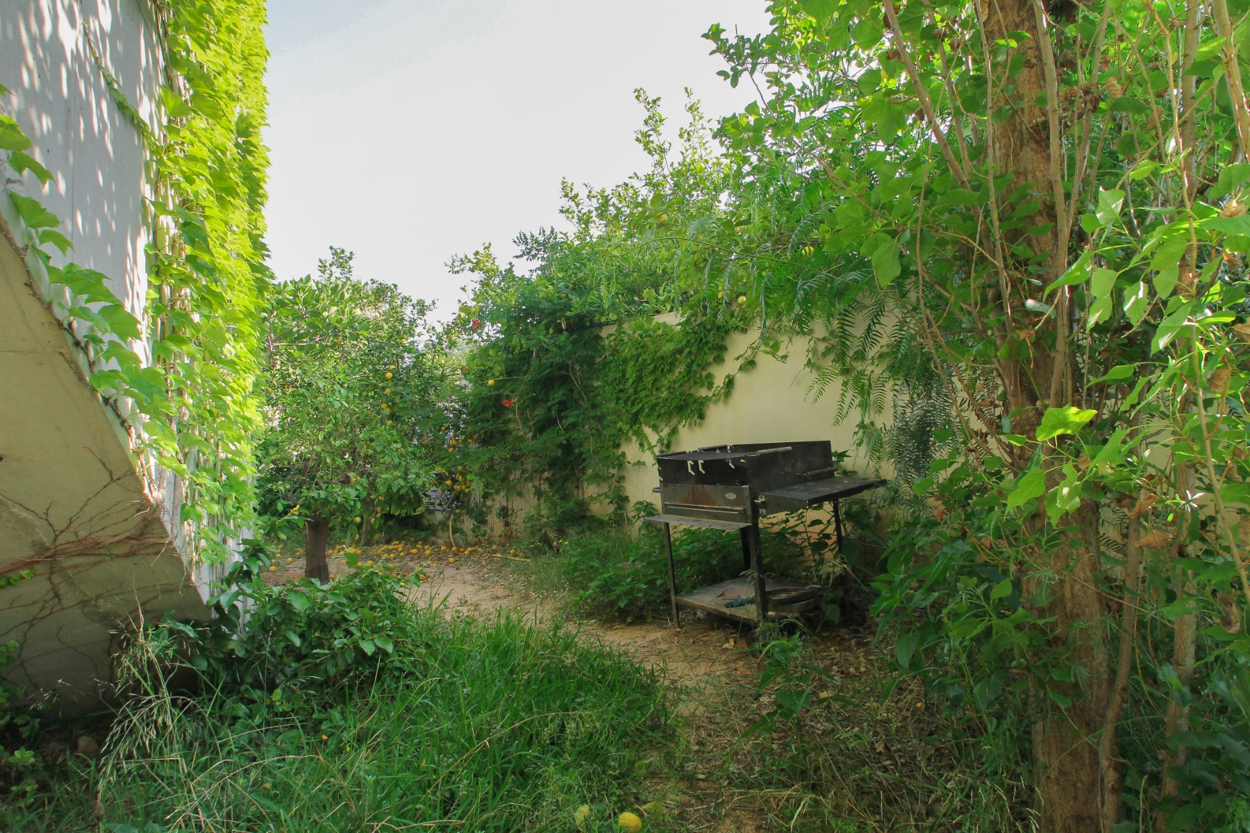 Garden in villa for sale in San Vicente del Raspeig