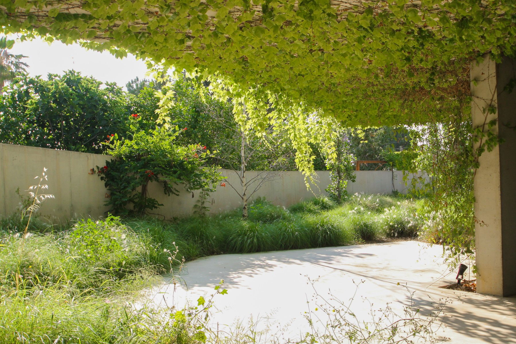Exterior view in villa for sale in San Vicente del Raspeig