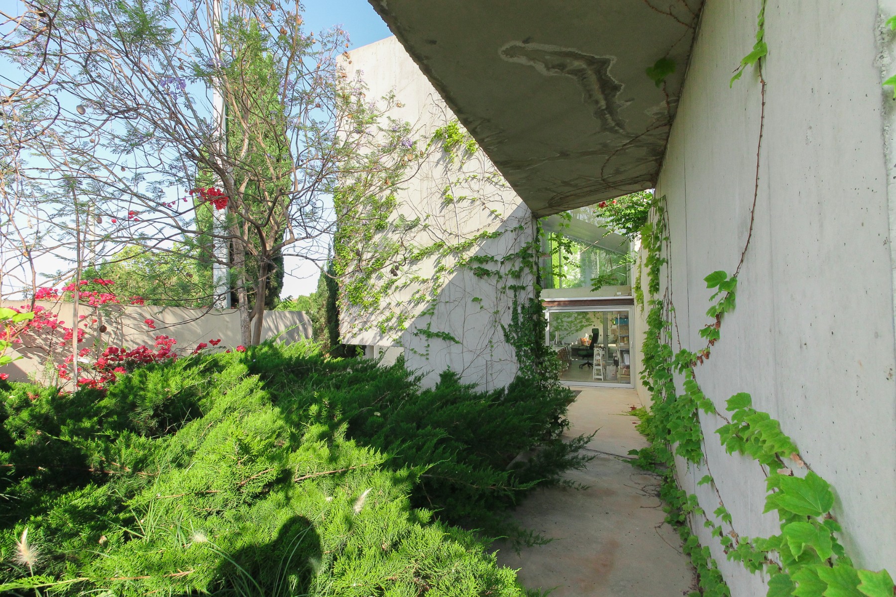 Garden in villa for sale in San Vicente del Raspeig