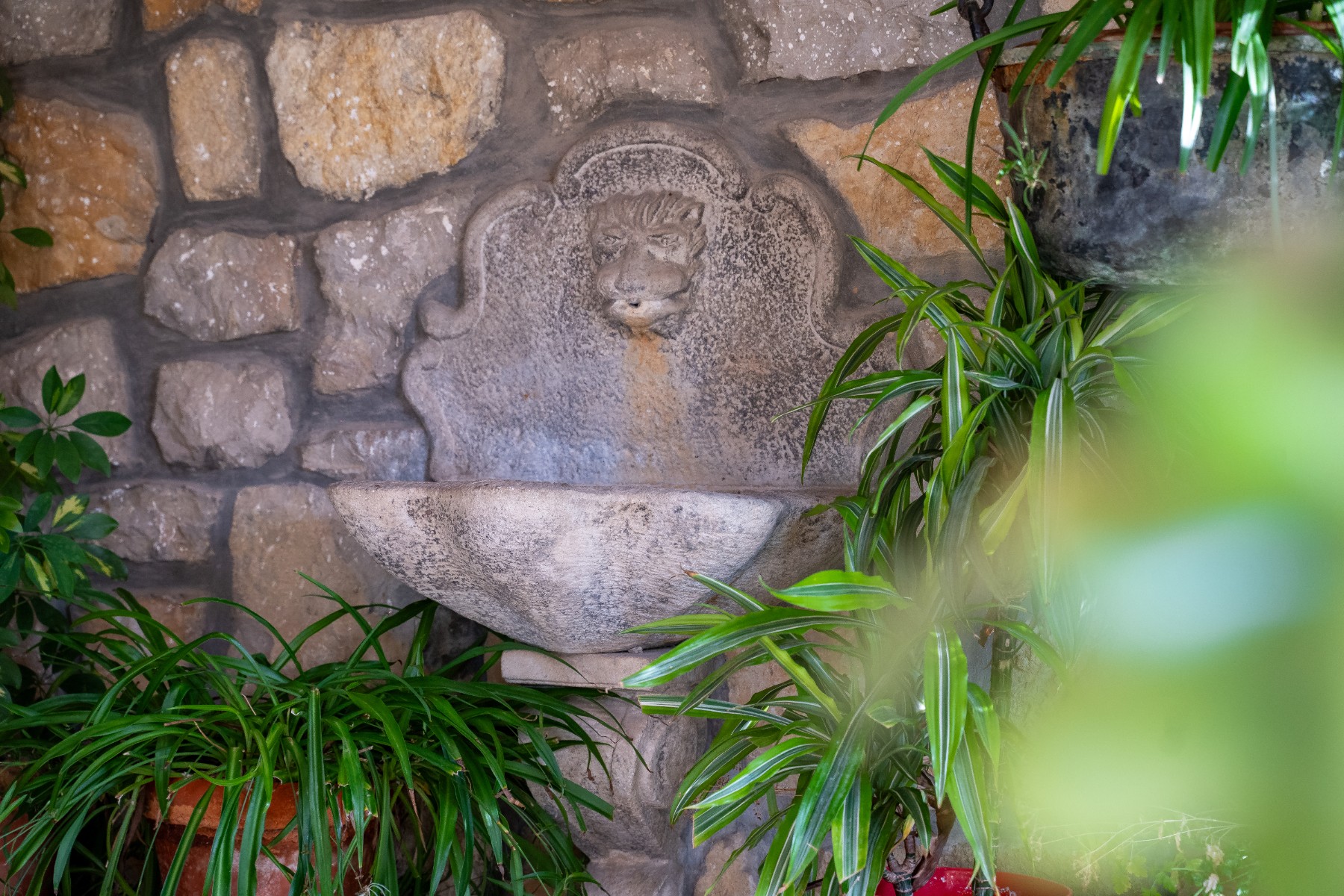 Exterior view in villa for sale in Alicante