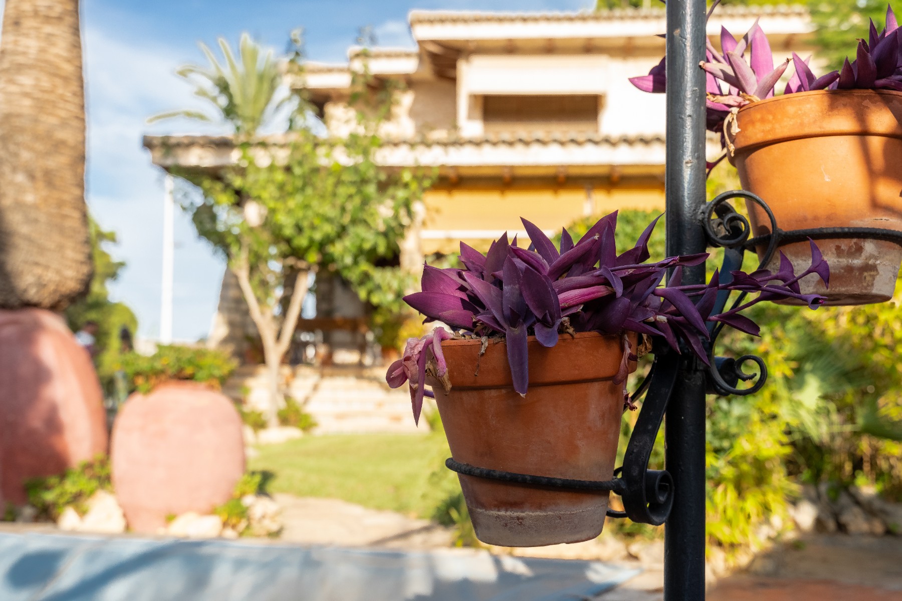 Garden in villa for sale in Alicante