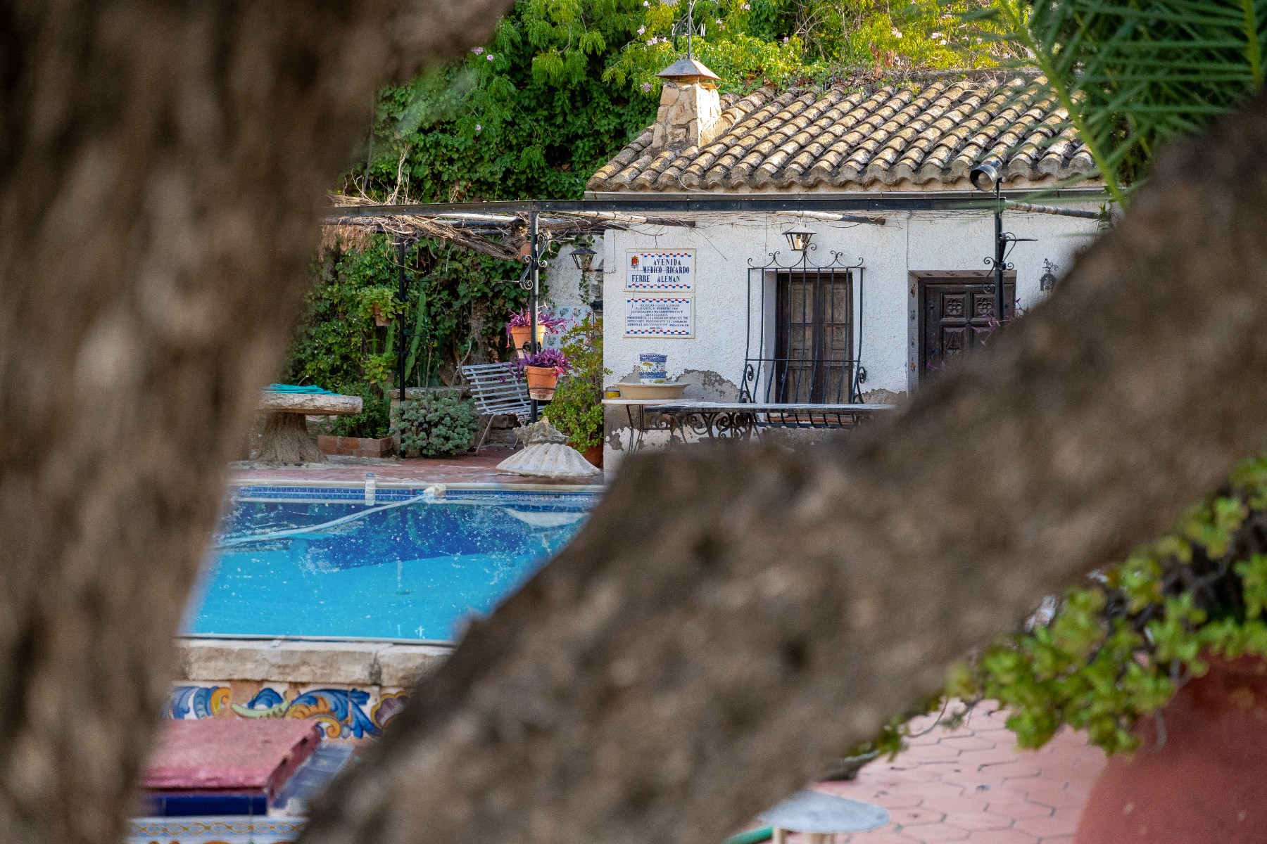 Exterior view in villa for sale in Alicante