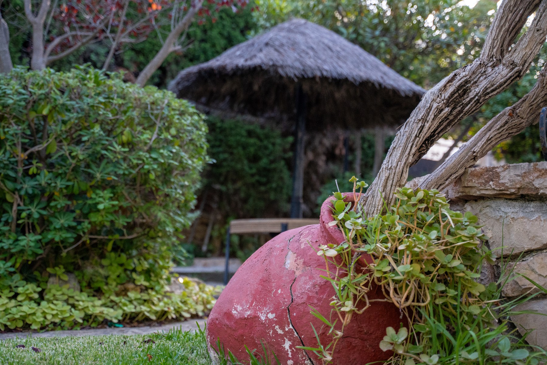 Garden in villa for sale in Alicante