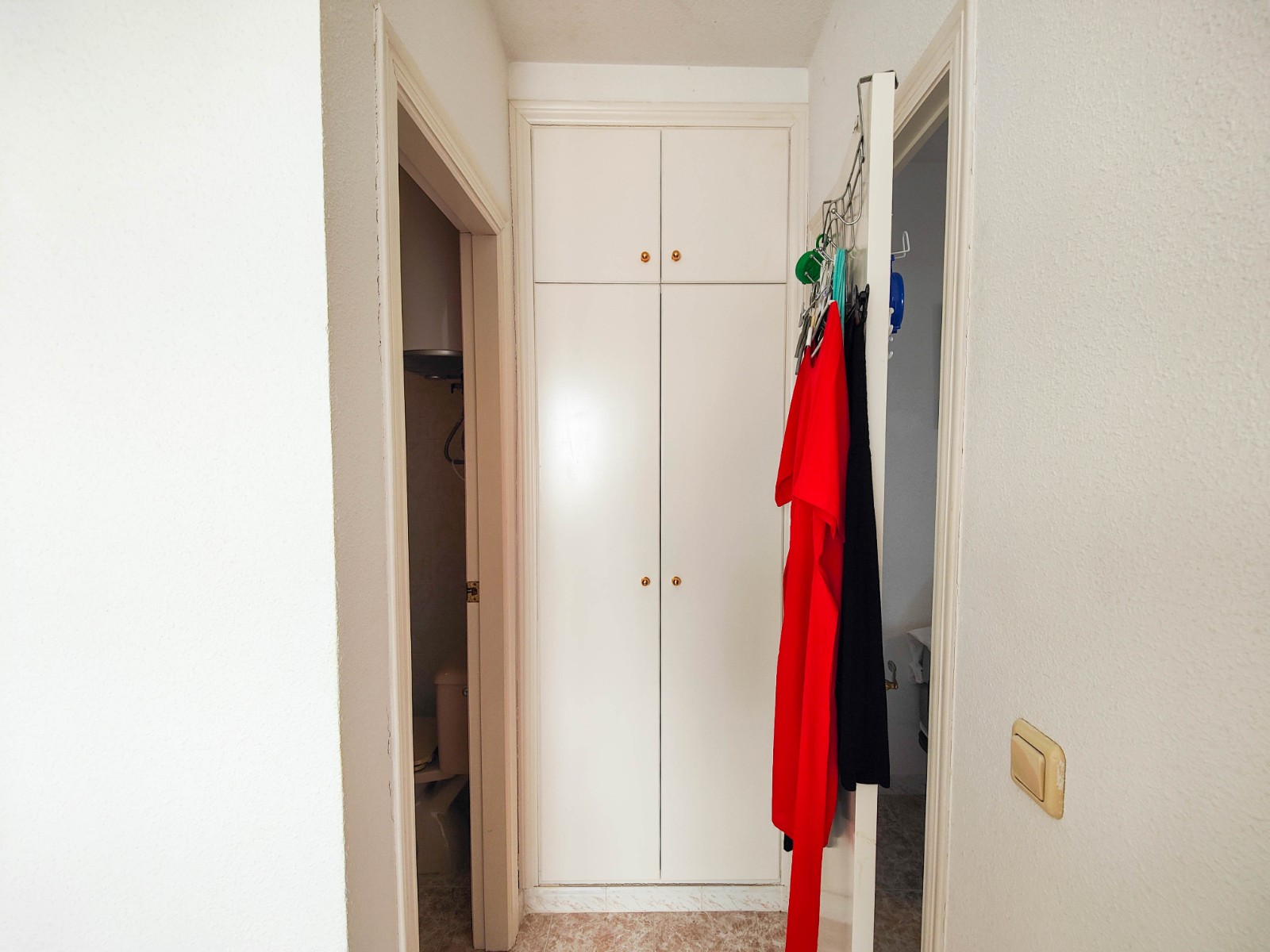 Garden in penthouse for sale in Torrevieja