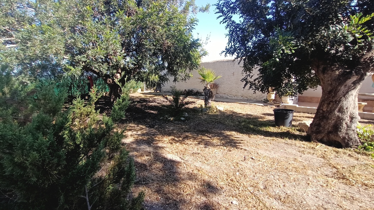 Garden in villa for sale in Avileses