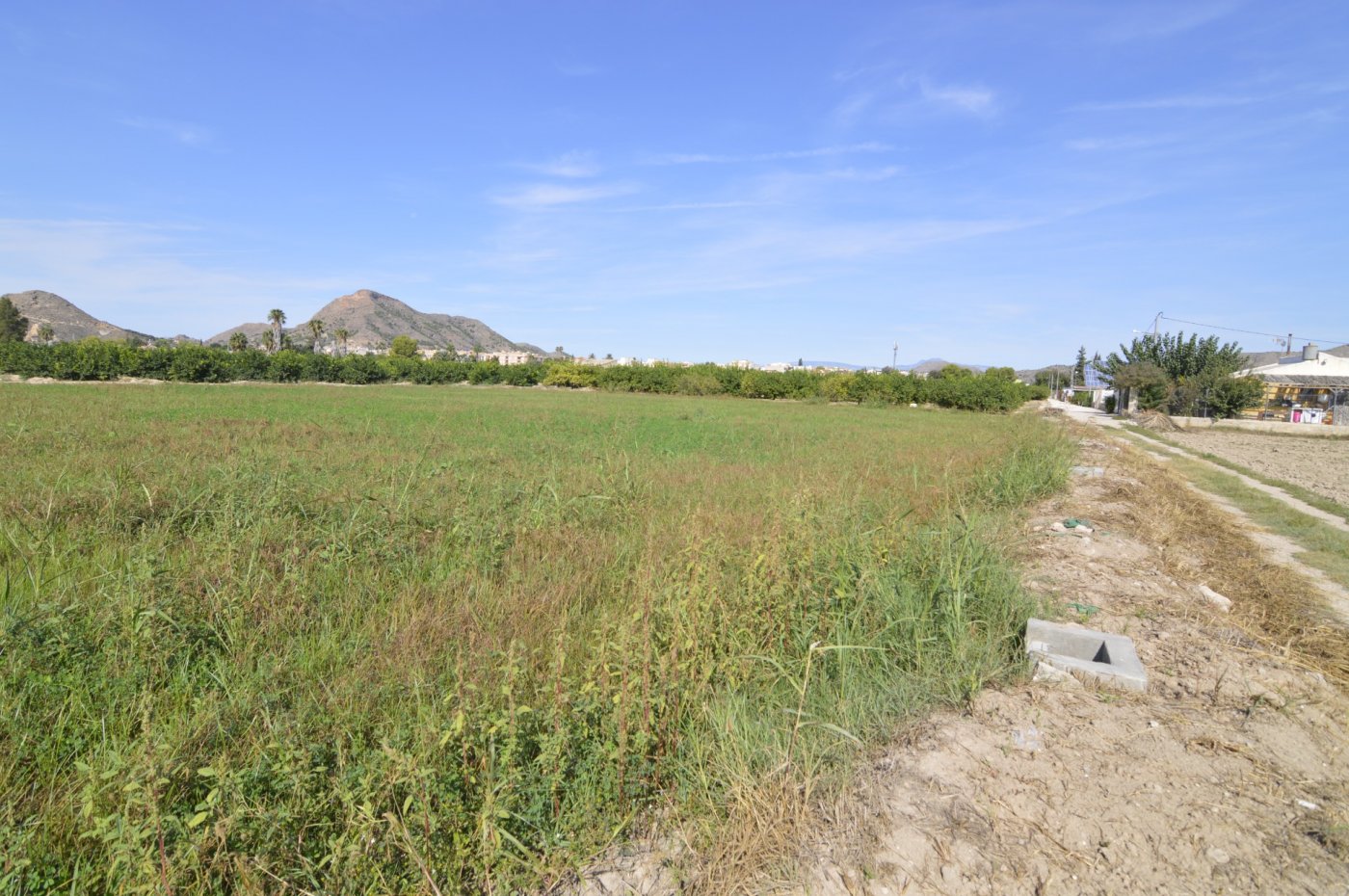 Exterior view in land for sale in Santomera