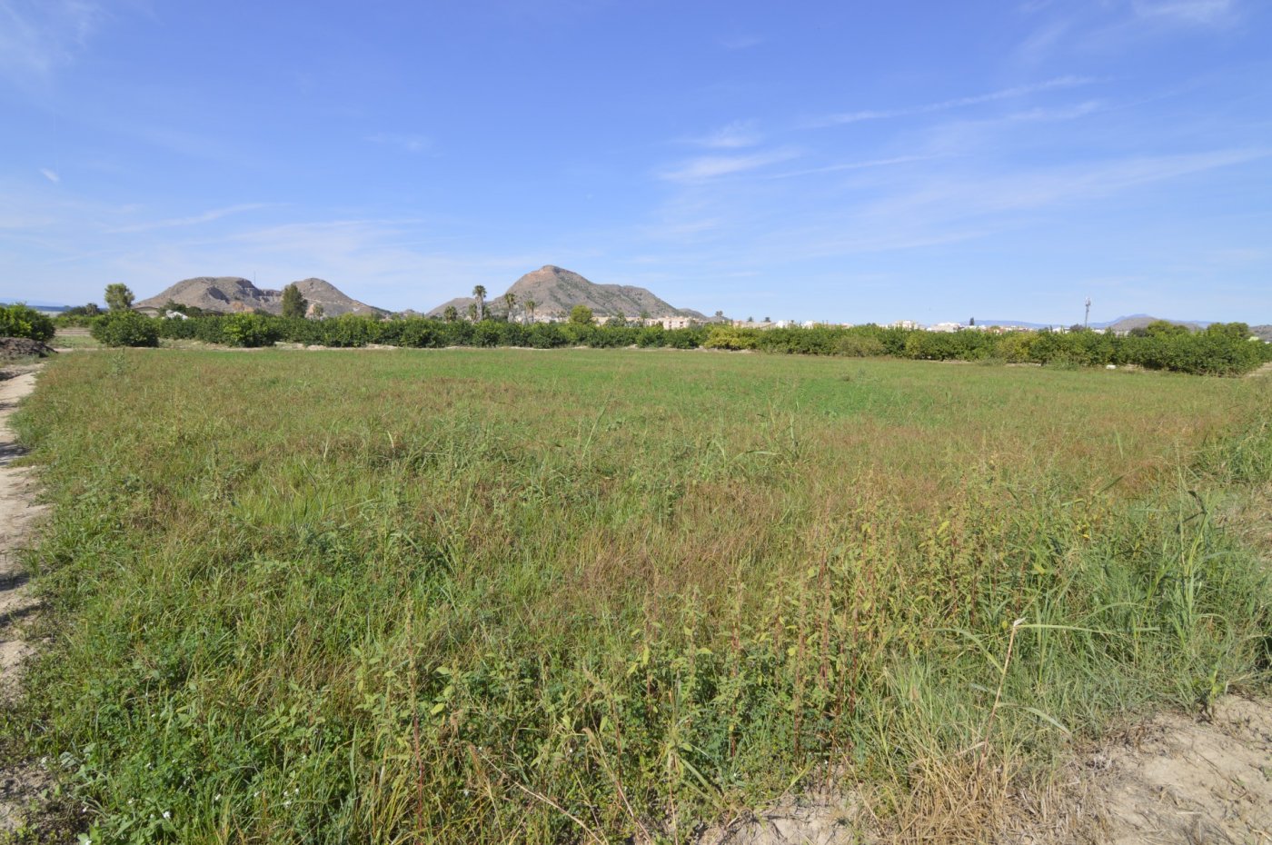 Living room in land for sale in Santomera