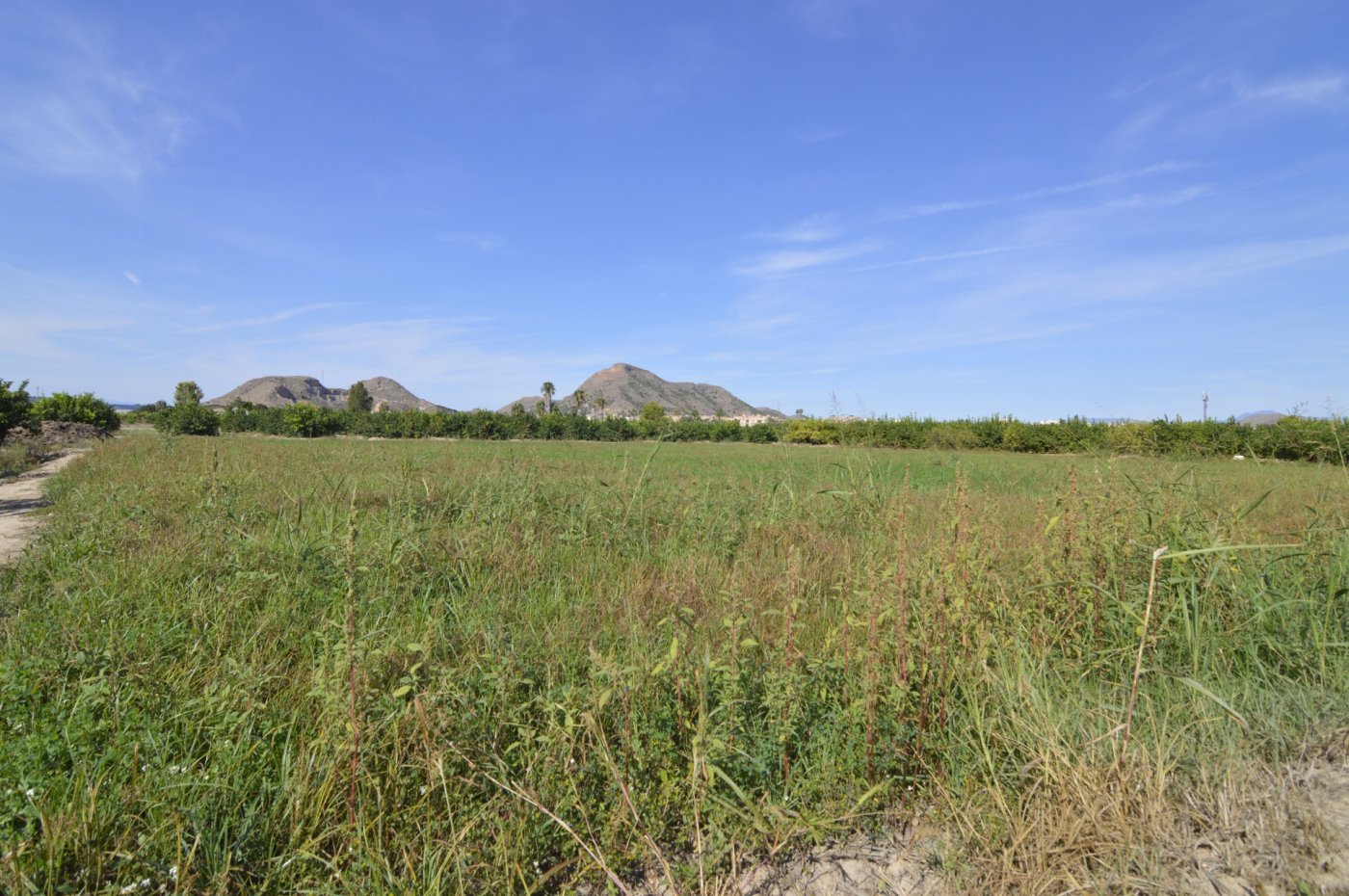 Kitchen in land for sale in Santomera