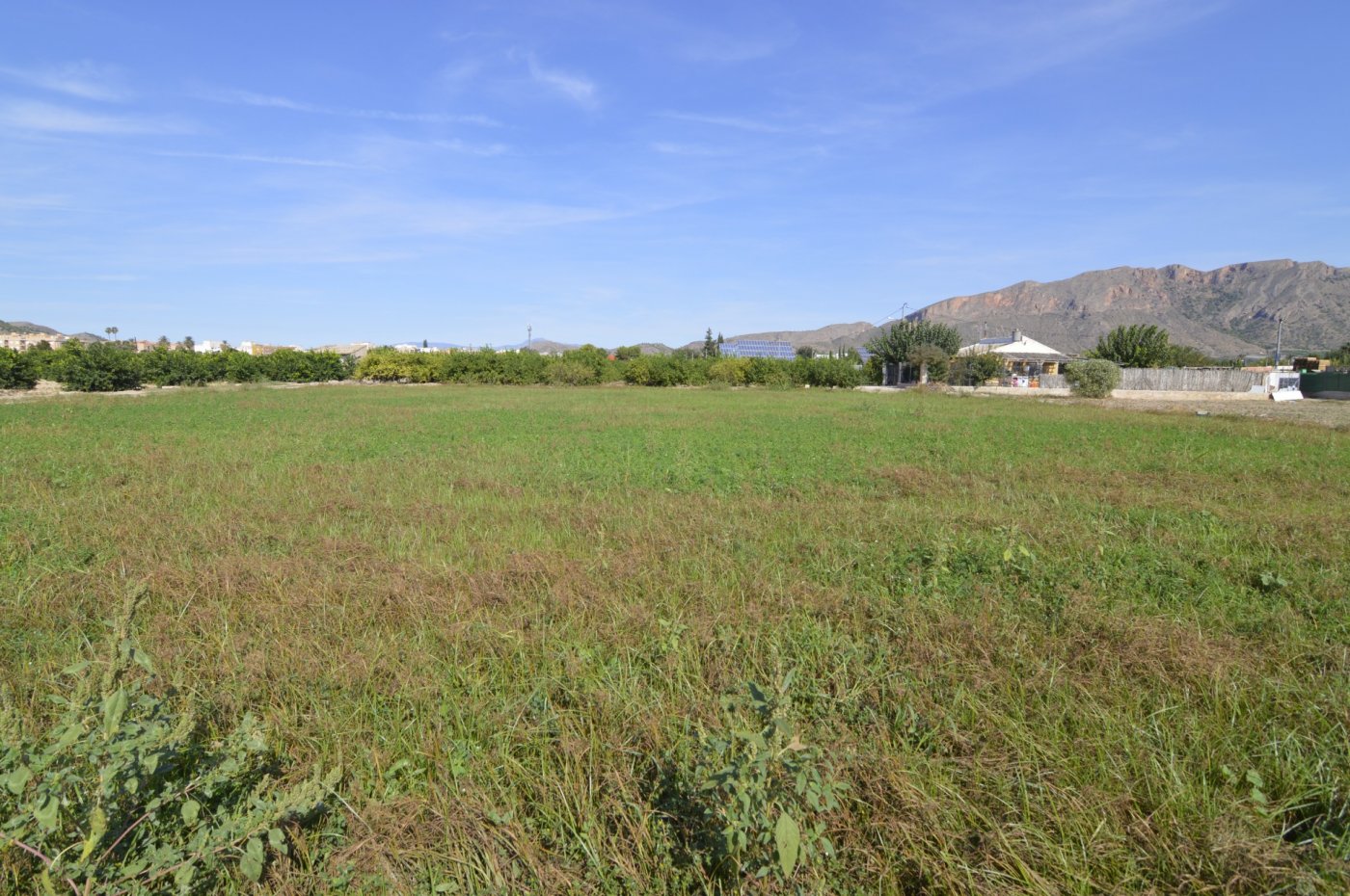 Terrace in land for sale in Santomera