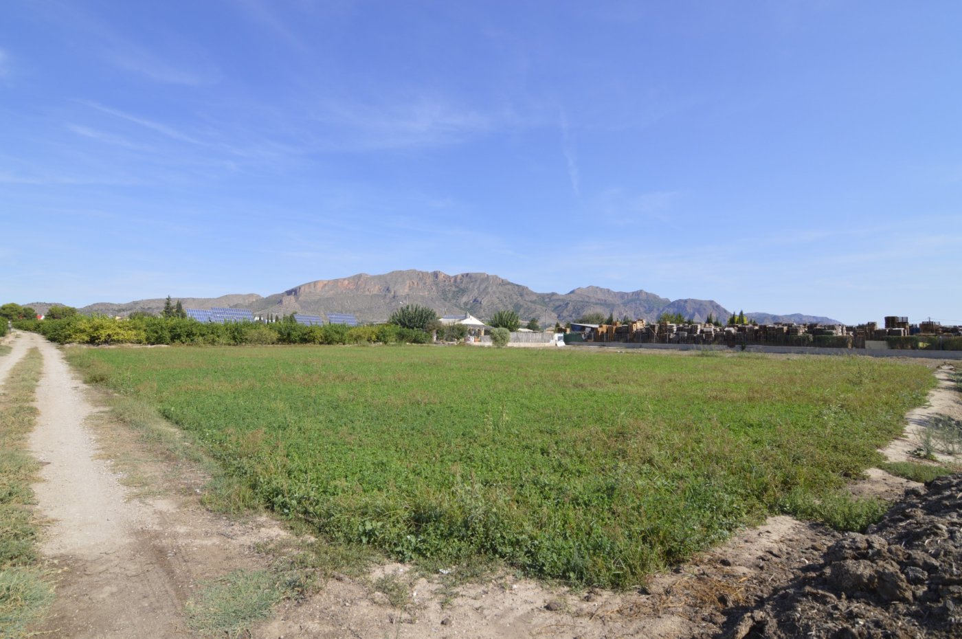 Pool area in land for sale in Santomera