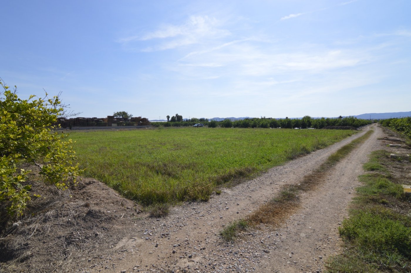 Garden in land for sale in Santomera