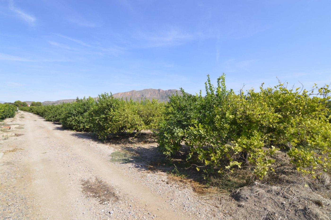 Dining area in land for sale in Santomera