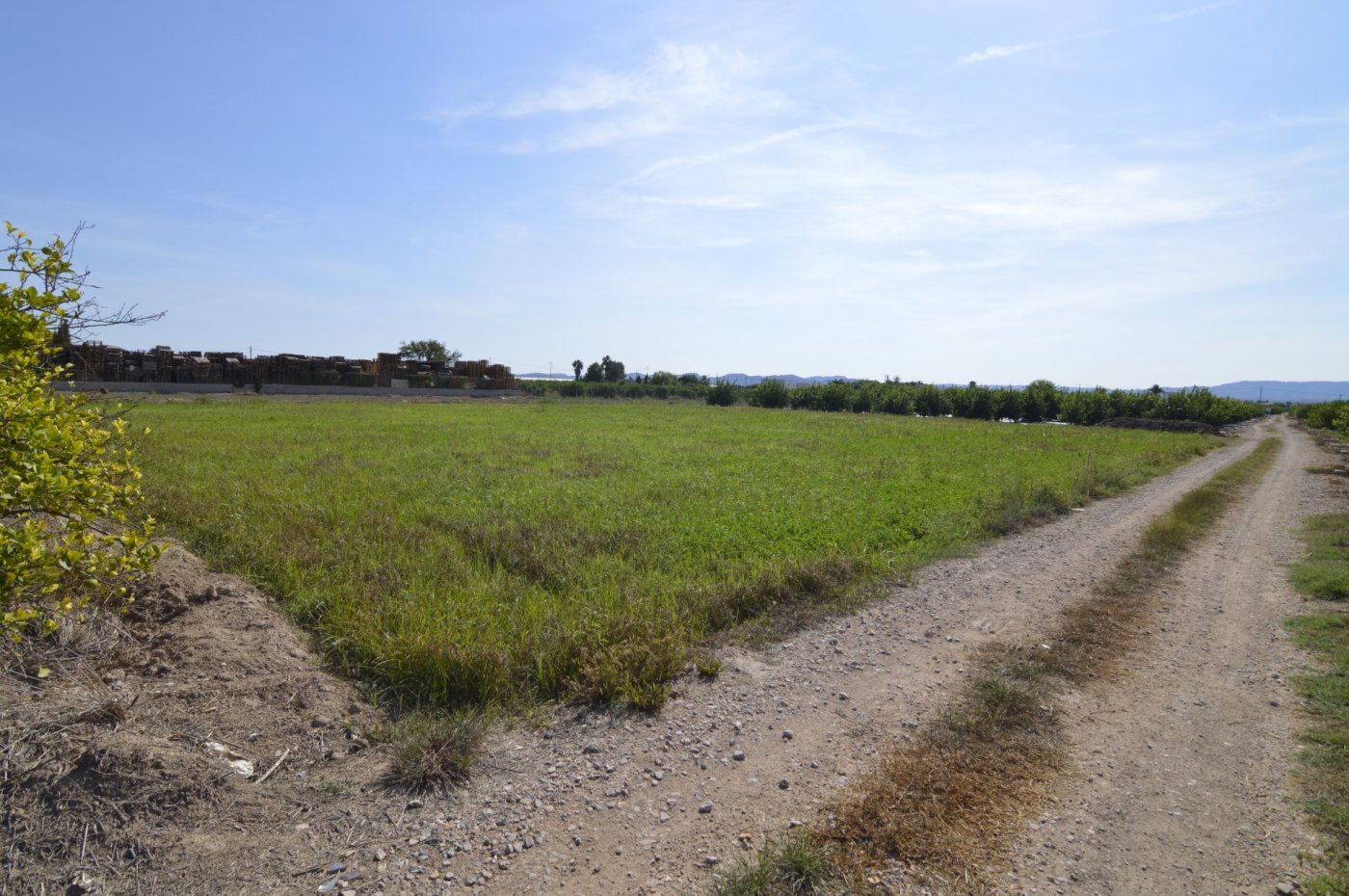 Bedroom in land for sale in Santomera