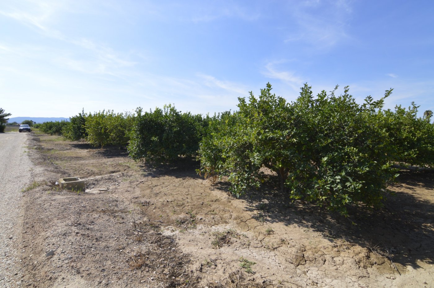 Terrace in land for sale in Santomera