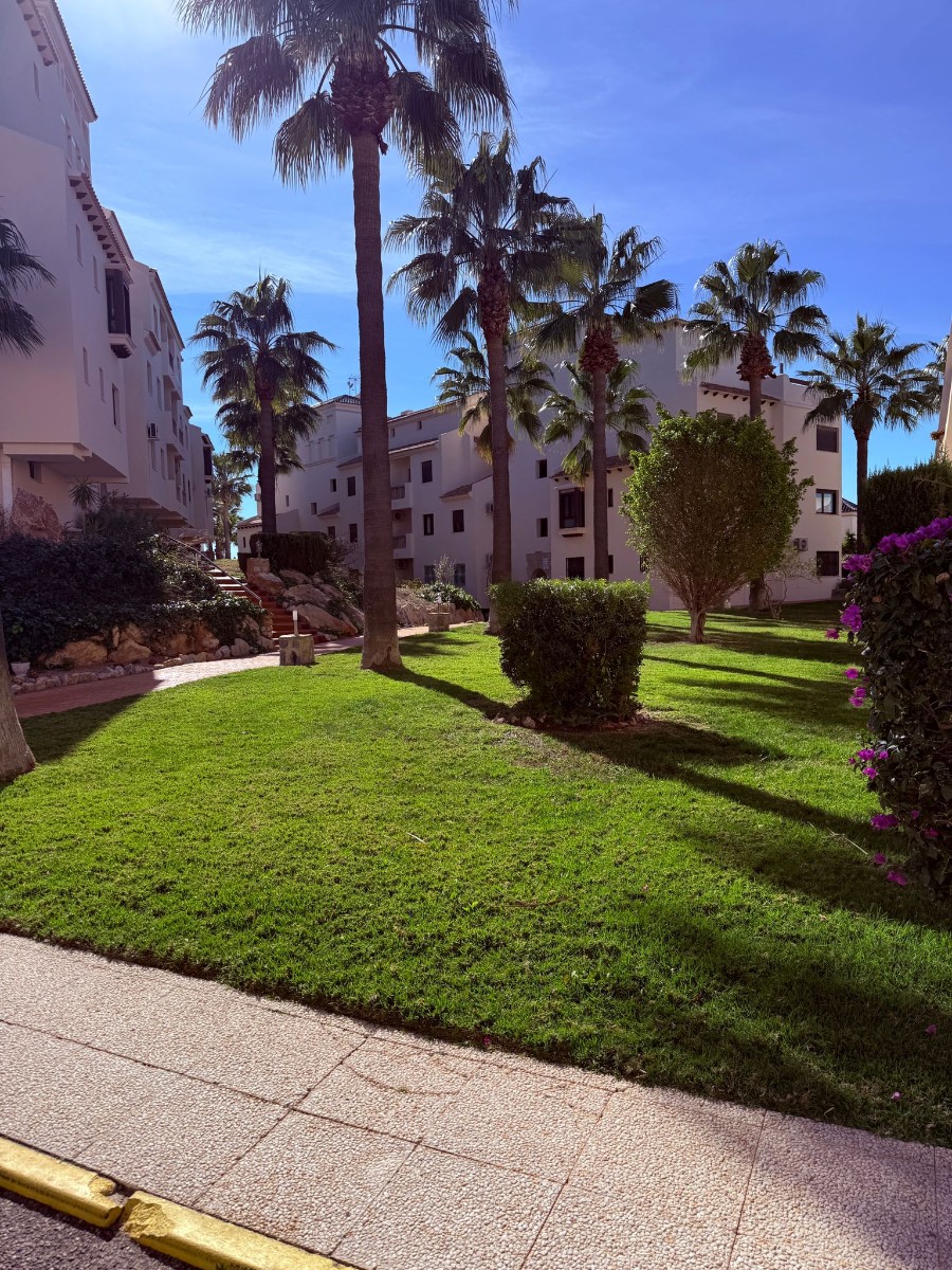 Garden in penthouse for sale in Las Ramblas Golf