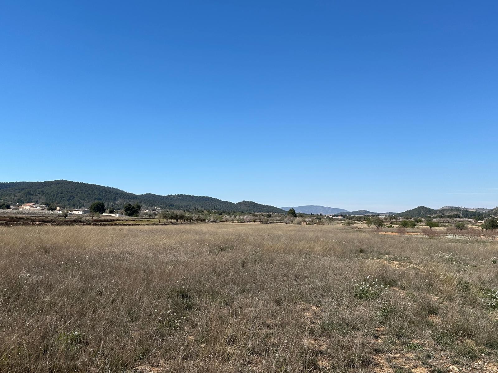 Located in a peaceful countryside area, this non-buildable plot offers a fantastic opportunity for t