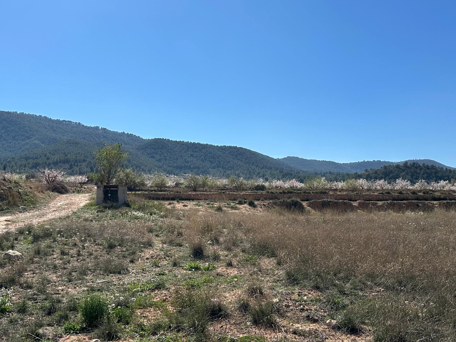 Located in a peaceful countryside area, this non-buildable plot offers a fantastic opportunity for t