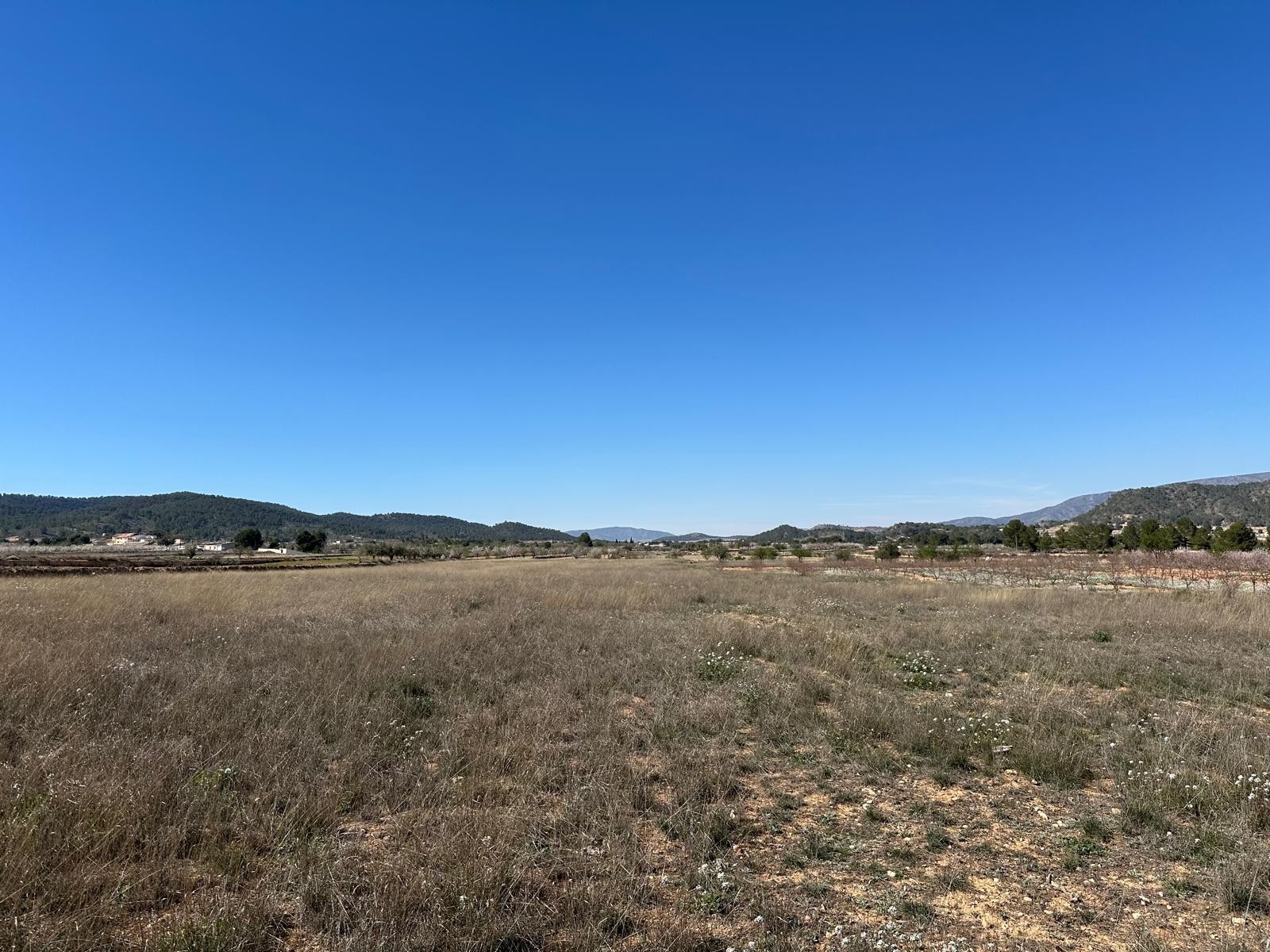 Terrace in land for sale in Monóvar/Monóver