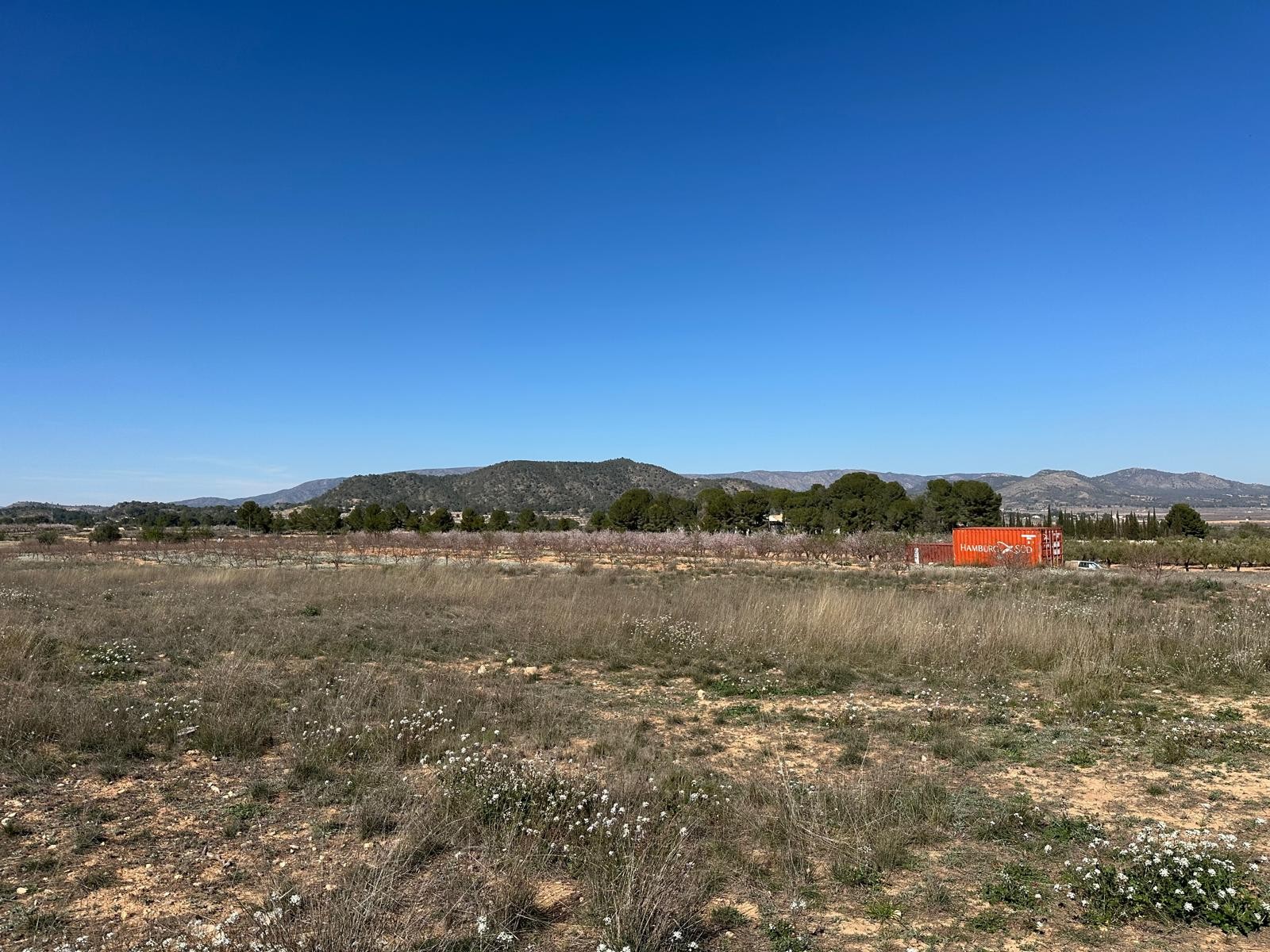 Pool area in land for sale in Monóvar/Monóver