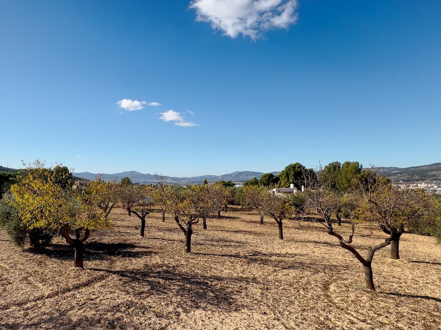 Living room in land for sale in Ibi
