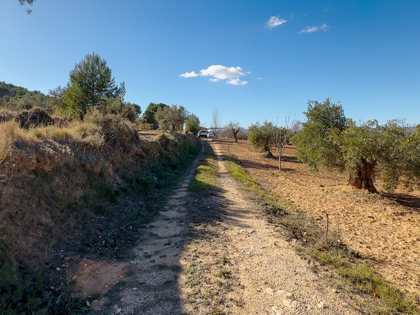 Kitchen in land for sale in Ibi