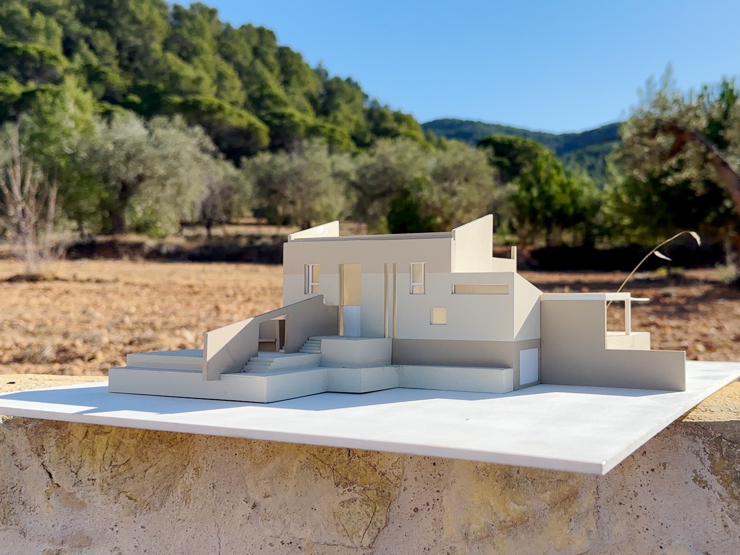 Master bedroom in land for sale in Ibi