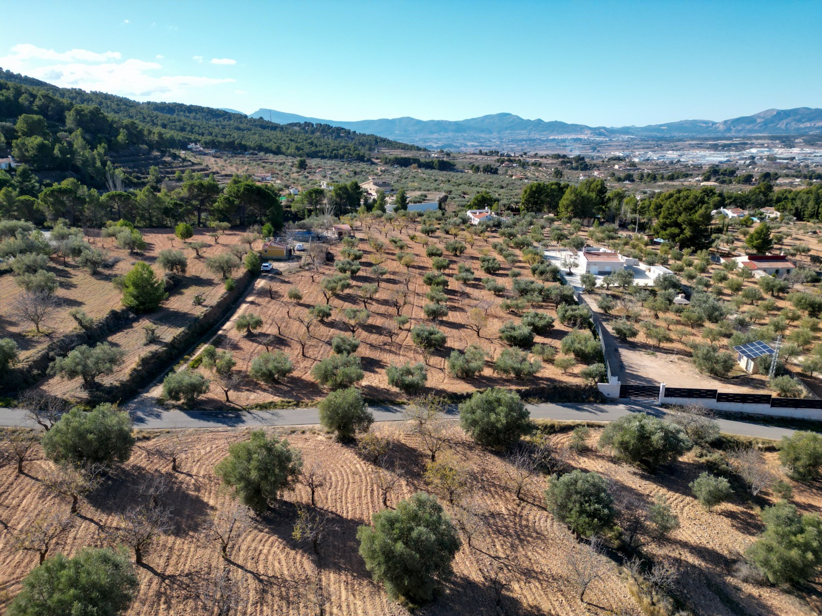 Pool area in land for sale in Ibi