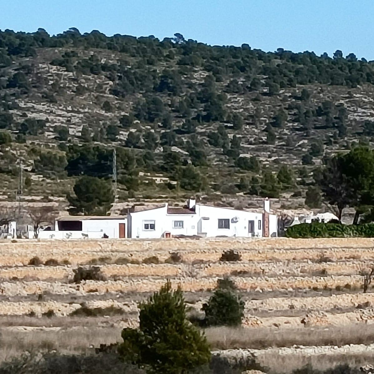 Ekvestrična Oaza: 2 Sobe, Stajališta i Paddock na Costa Blanca
