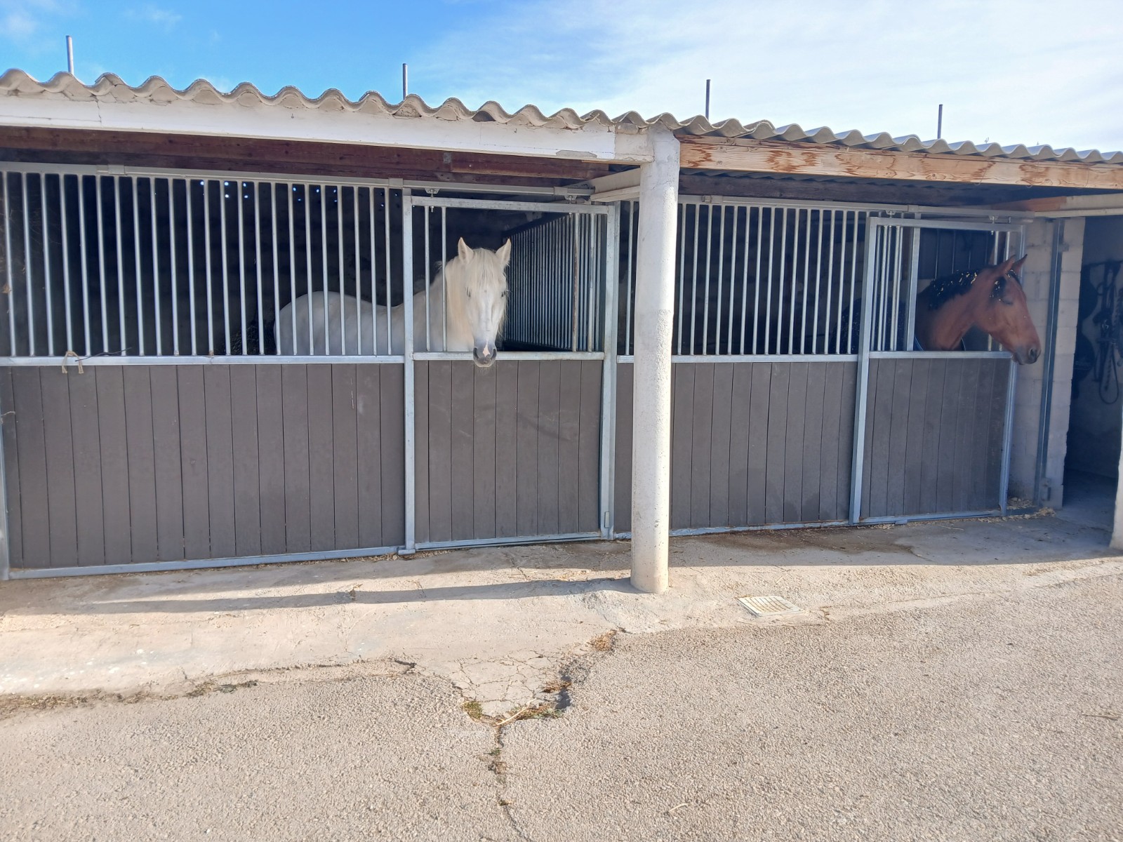 Ekvestrična Oaza: 2 Sobe, Stajališta i Paddock na Costa Blanca