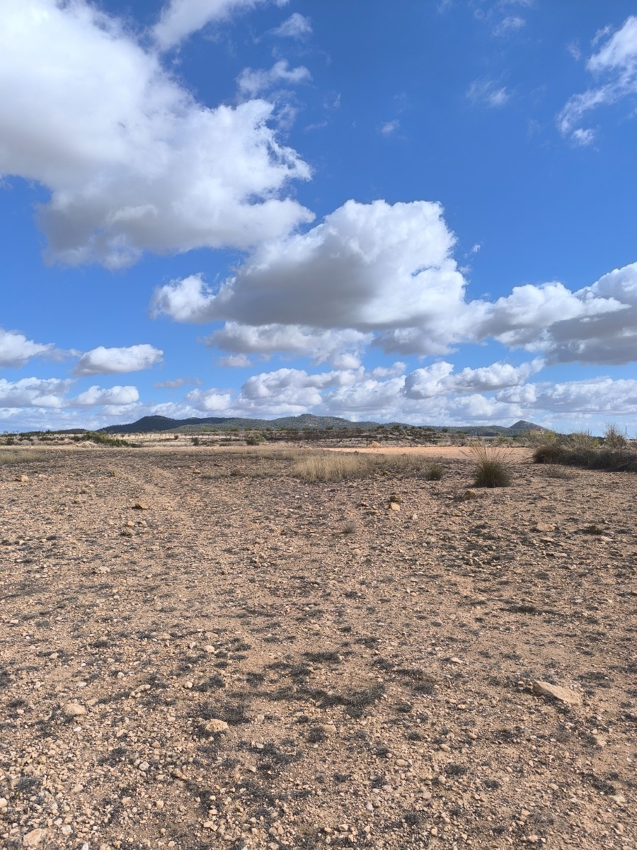 Exterior view in land for sale in Pinoso