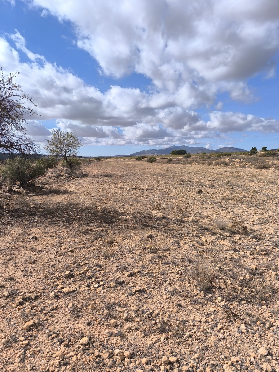 Rustig paradijs in Úbeda: bouw je droomhuis op 17.208m²