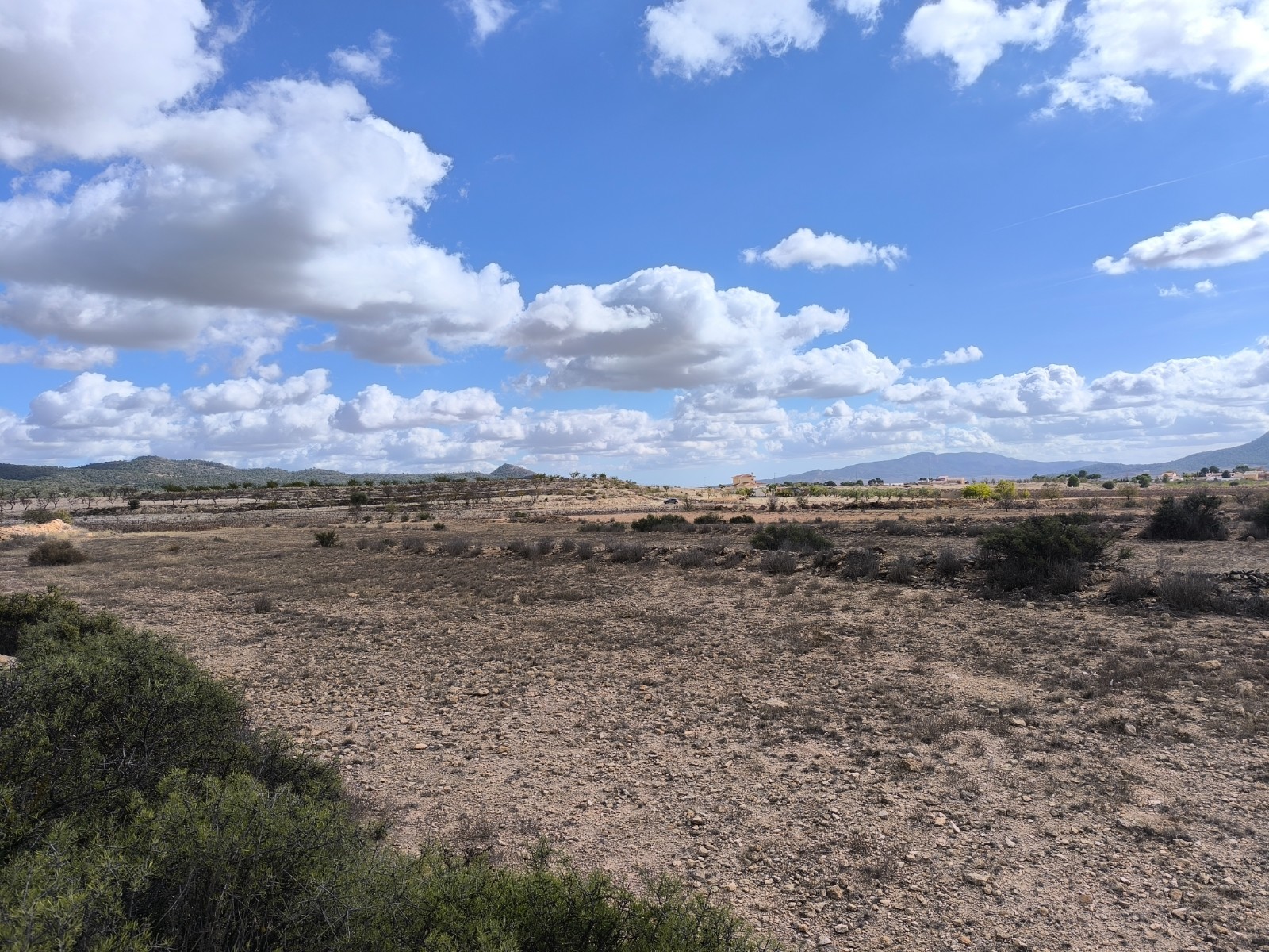 Bedroom in land for sale in Pinoso