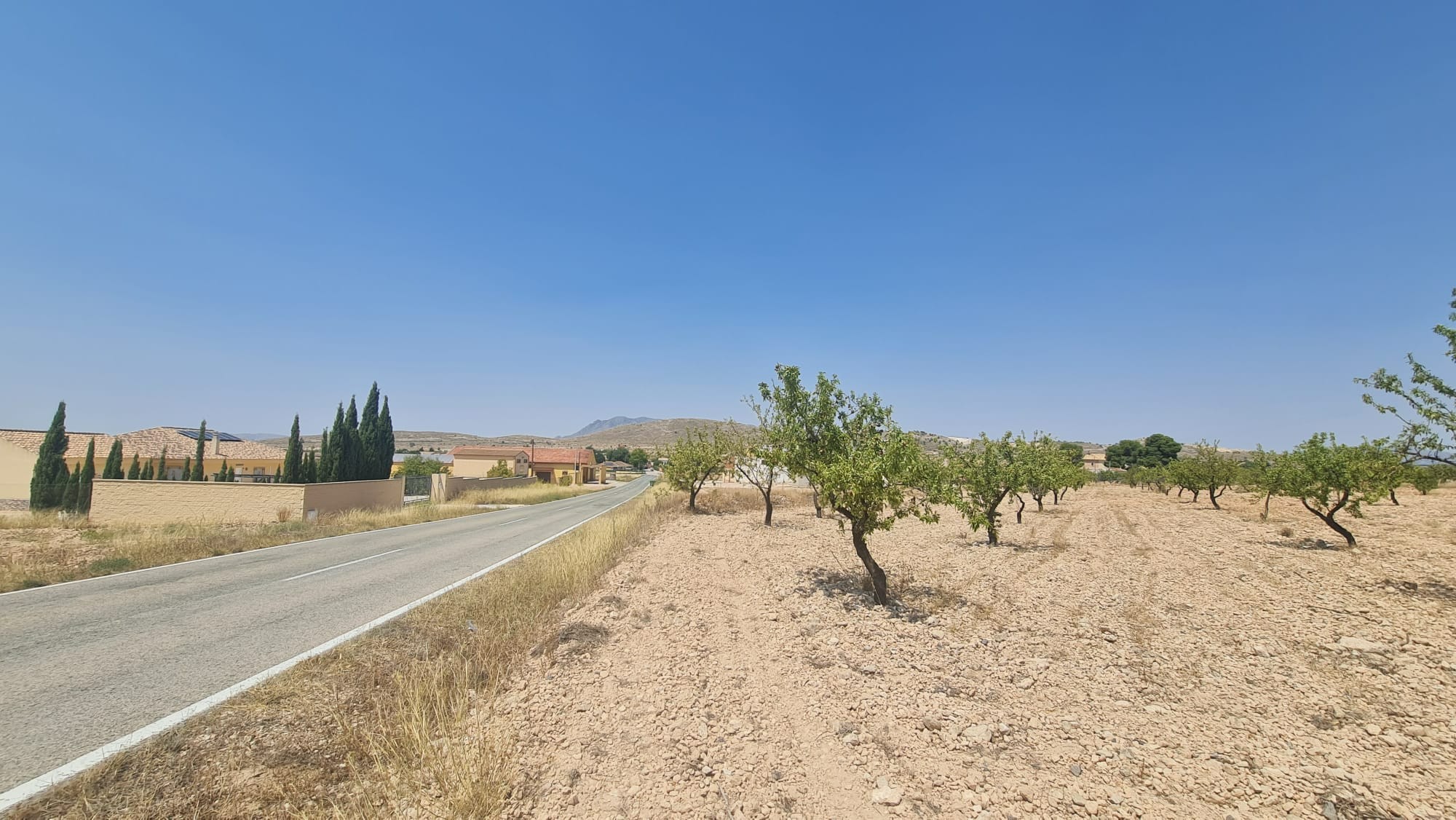 A rare opportunity to purchase a 7,340 m² rustic buildable plot in Jumilla