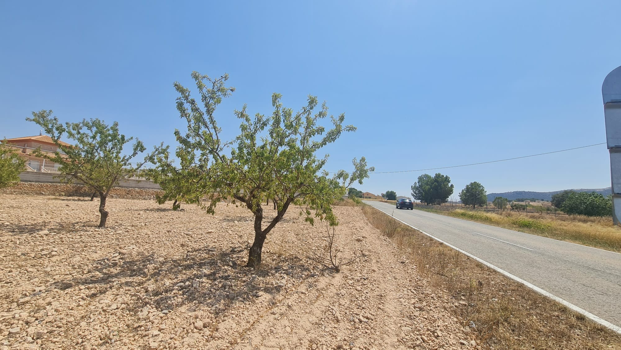 A rare opportunity to purchase a 7,340 m² rustic buildable plot in Jumilla