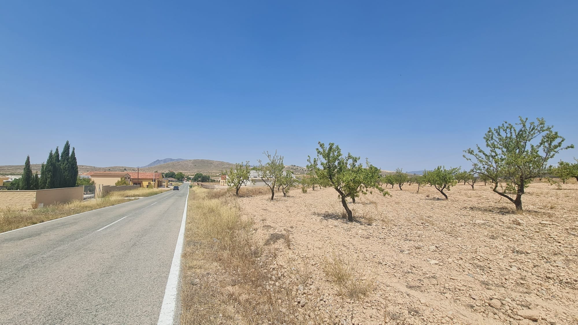 Pool area in land for sale in Jumilla