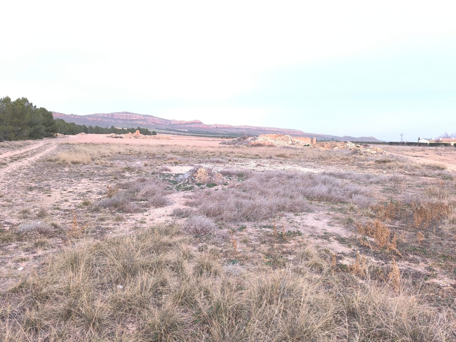 Bedroom in land for sale in Yecla