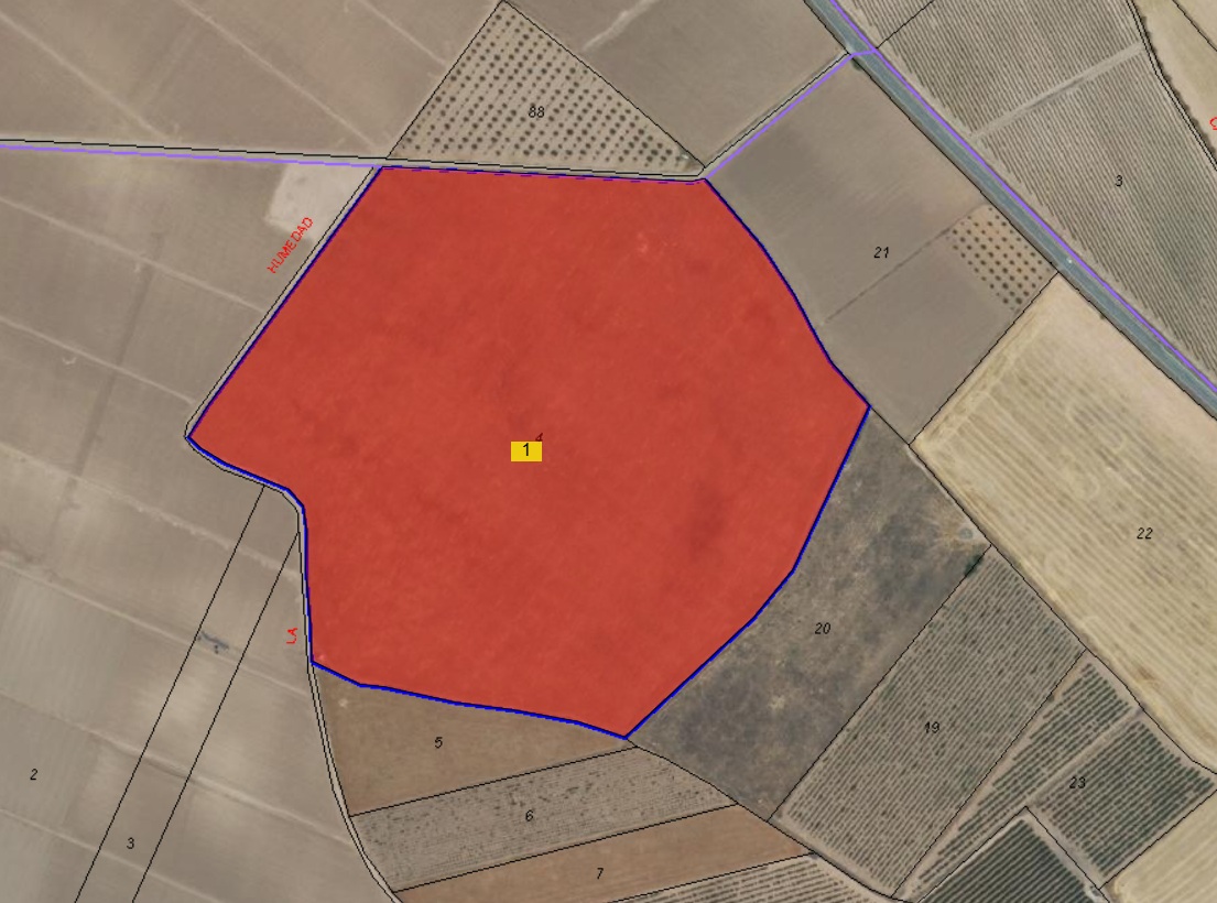 Looking for an agricultural investment in smaller or larger scale