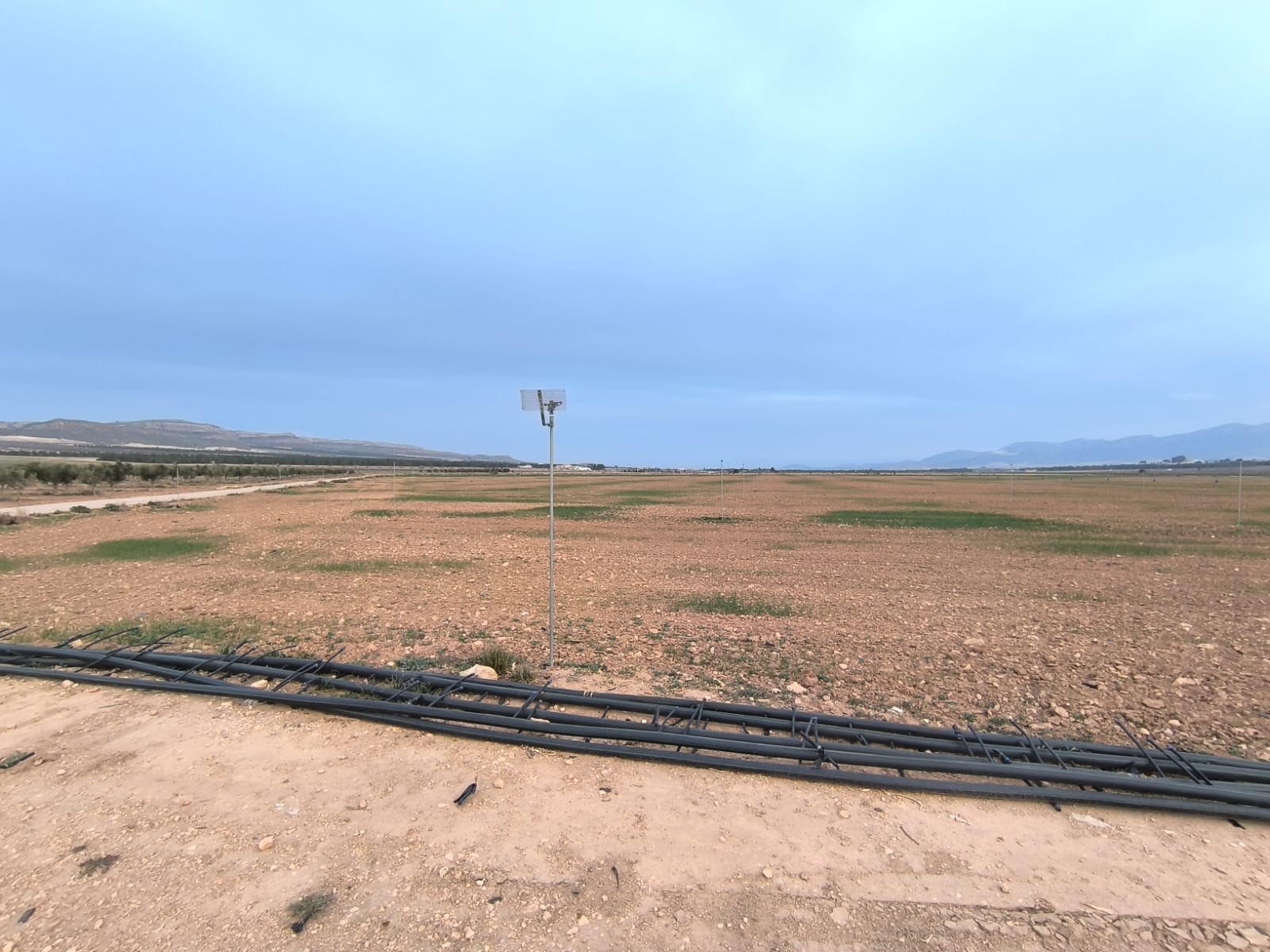 Looking for an agricultural investment in smaller or larger scale